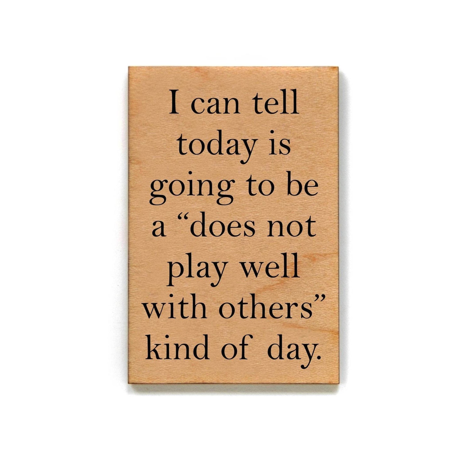 Does Not Play Well With Others -Funny Magnet - 7 Semicolon Couture