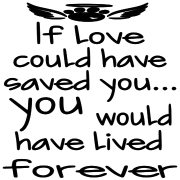 7X7-IF LOVE COULD HAVE SAVED YOU PET-SIGN