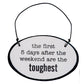 Say It with Sass Mini Oval Wall Hangings - 7 Semicolon Couture